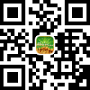 download qr 6rwin